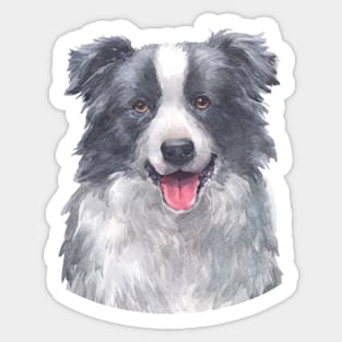 Happy Border Collie Watercolor Art Sticker